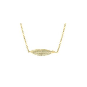 Goudkleurige ketting met veer.