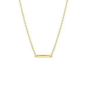 Ketting goudkleurig staafje