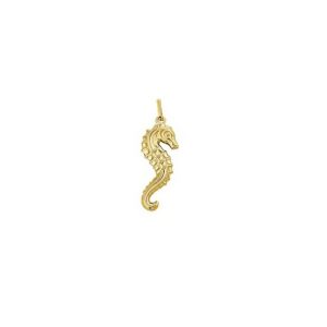 Gouden zeepaardje 14 karaat